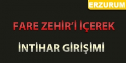 Fare zehri içerek ölmek istedi