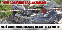 Vali Yardımcısı kazada hayatını kaybetti