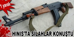 Hınıs'ta Silahlar Konuştu