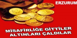 Misafirliğe gittiler altınları çaldılar