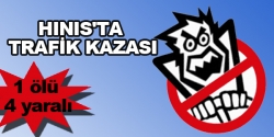 Hınıs'ta trafik kazası