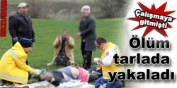 Ölüme tarlada yakalandı