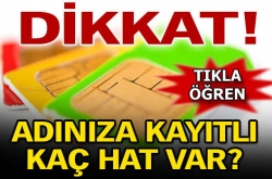 Adınıza kayıtlı kaç hat var?