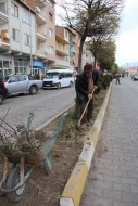 çiçekler kış'a hazırlanıyor