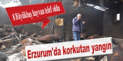 Erzurum'da korkutan yangın