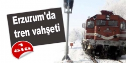 Erzurum'da tren vahşeti