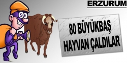 Erzurum'da hayvan hırsızlığı