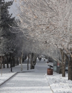 Doğu'da soğuk hava