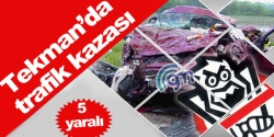 Tekman'da trafik kazası