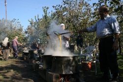 Doğal dut pekmezi yapımına başladılar