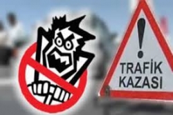 Pasinlerde trafik kazası