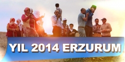 Yıl 2014 Erzurum