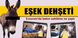 Eşeğin, eşekliği tuttu!