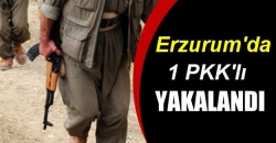 Şenkaya'da PKK'ya bir darbe daha!