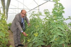 Oltu'da tarla günü etkinliği