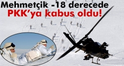 18 derecede bölücü teröristlere kabus oldu