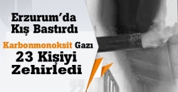 Karbonmonoksit gazı zehirledi