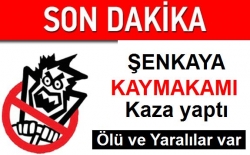 Şenkaya kaymakamı kaza yaptı