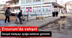 Erzurum'da vahşet!