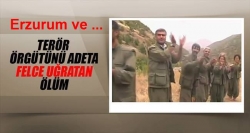 PKK’nın beyin ölümü!