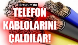 Telefon kablolarını çaldılar!