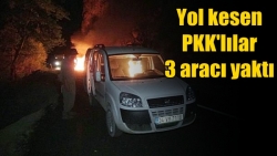 PKK yol kesip, araç yaktı!