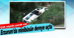 Yolcu minibüsü dereye uçtu!