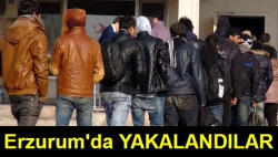 Pasinler'de 44 kaçak yakalandı!