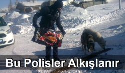 Polis sokak köpeklerini doyurdu!