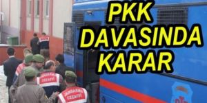 Tekman PKK davasında karar