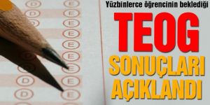 TEOG yerleştirme sonuçları