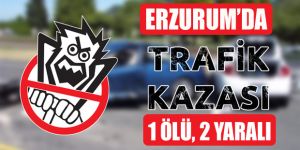 Erzurum'da Trafik Kazası: 1 Ölü, 2 Yaralı