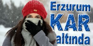 Erzurum'da kar yağışı