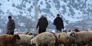 Akşarlılar Kapalı Hayvan Pazarı İstedi