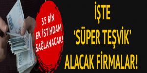 İşte Süper Teşvik'ten yararlanacak firmalar!