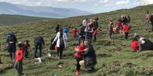 Şehit Üsteğmen İsmail Aksu İlkokulu'ndan Ağaç Dikim Etkinliği