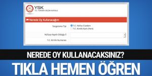 TC no ile sandık sorgulama yapın