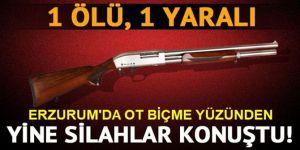 Erzurum'da ot biçme kavgası: 1 ölü, 1 yaralı