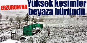 Erzurum'un yüksek kesimleri beyaza büründü