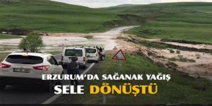 Erzurum’da sağanak sele dönüştü