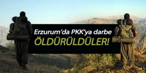 Erzurum'da 2 terörist etkisiz hale getirildi