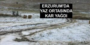 Erzurum’da yaz ortasında kar yağdı