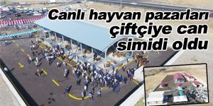 Canlı hayvan pazarları çiftçiye can simidi oldu