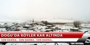 Doğu Anadolu'da kar yağışı: 300 köy ve mahalle yolu kapandı