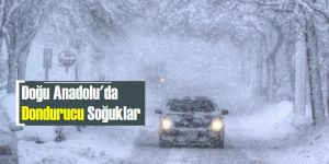 Doğu Anadolu'da dondurucu soğuklar