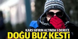 Doğu Anadolu buz kesti