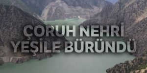 Çoruh nehri yeşile büründü