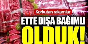 Ette dışa bağımlı olduk!