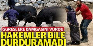 Boğa güreşlerinde onu hakemler bile arenadan uzaklaştıramadı