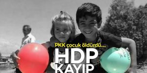 PKK'dan hain tuzak... İki kardeş hayatını kaybetti